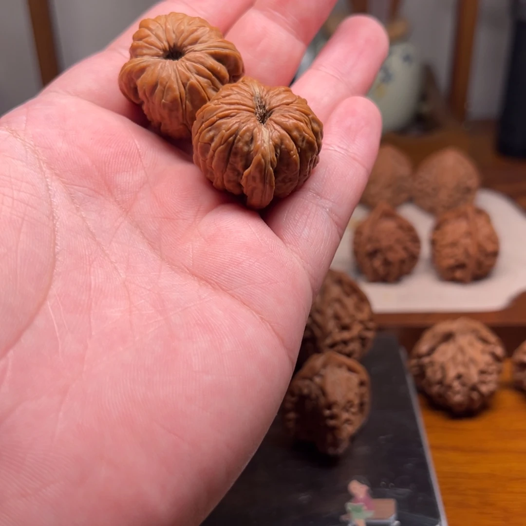 茵***小虫眼天下第一楼