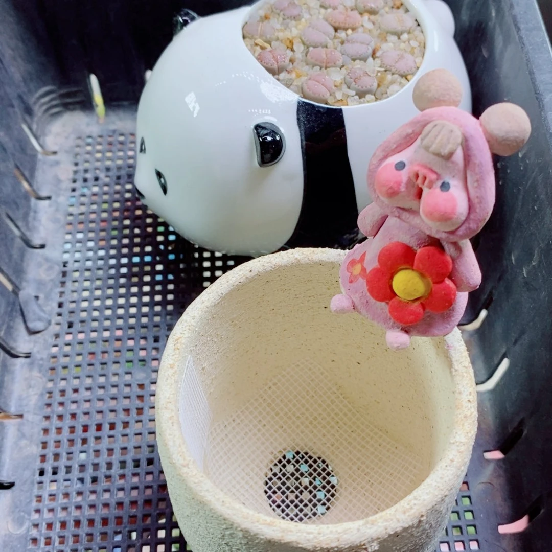 *****其实哈哈哈哈哈哈哈哈哈139