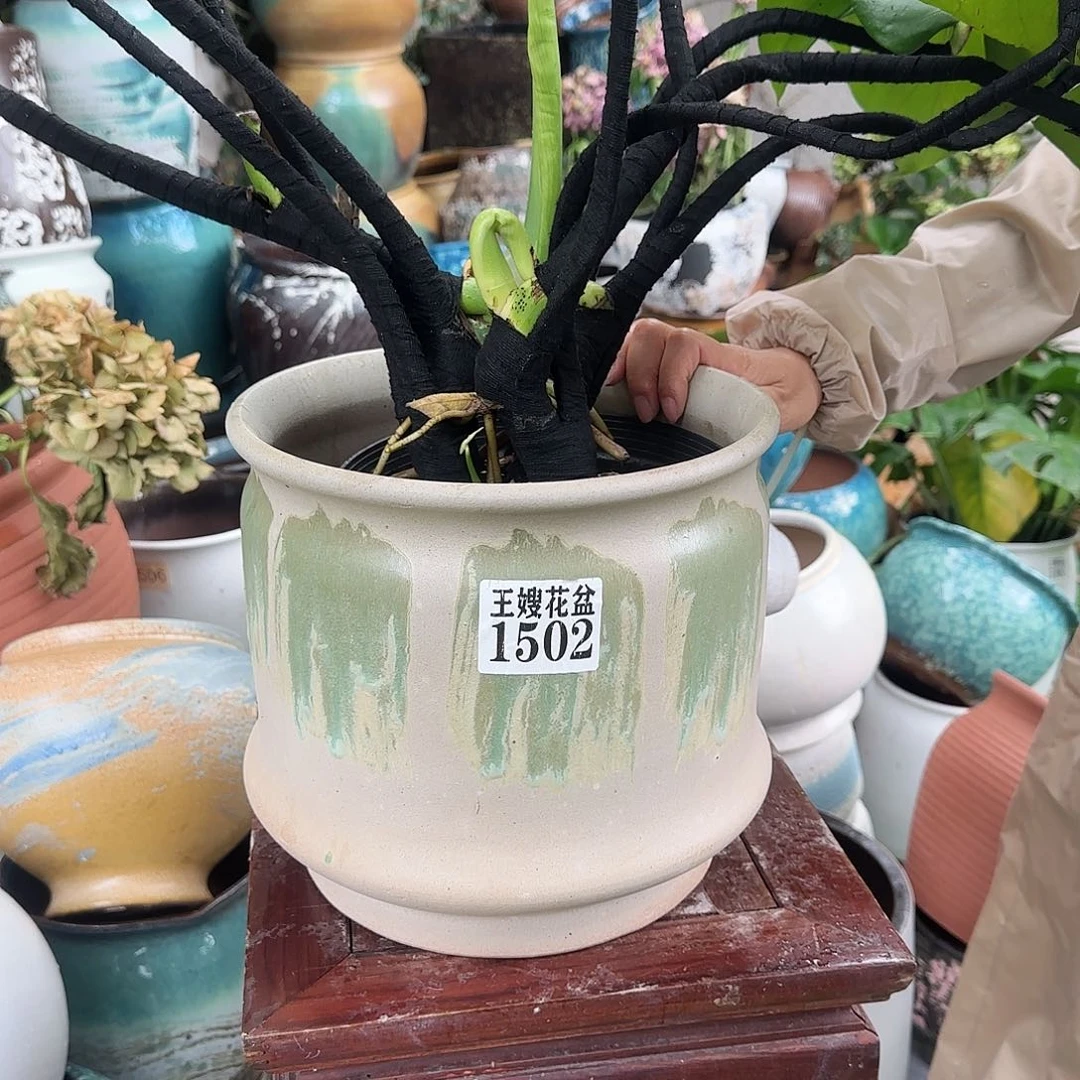 紫砂花盆王嫂花盆直播0621-1502高24口25