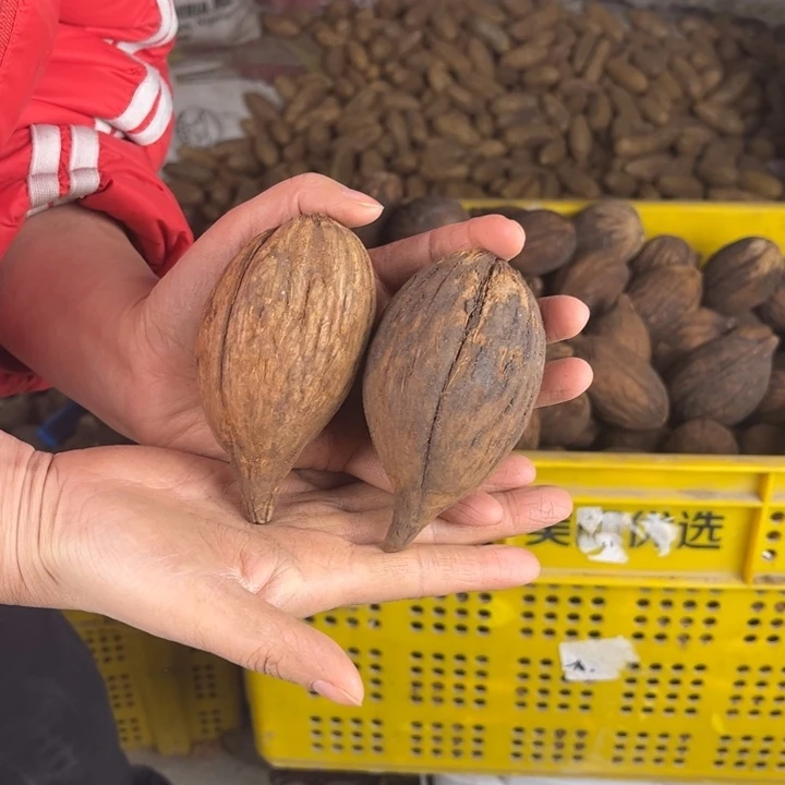 库克吊坠库克果子 80 号。