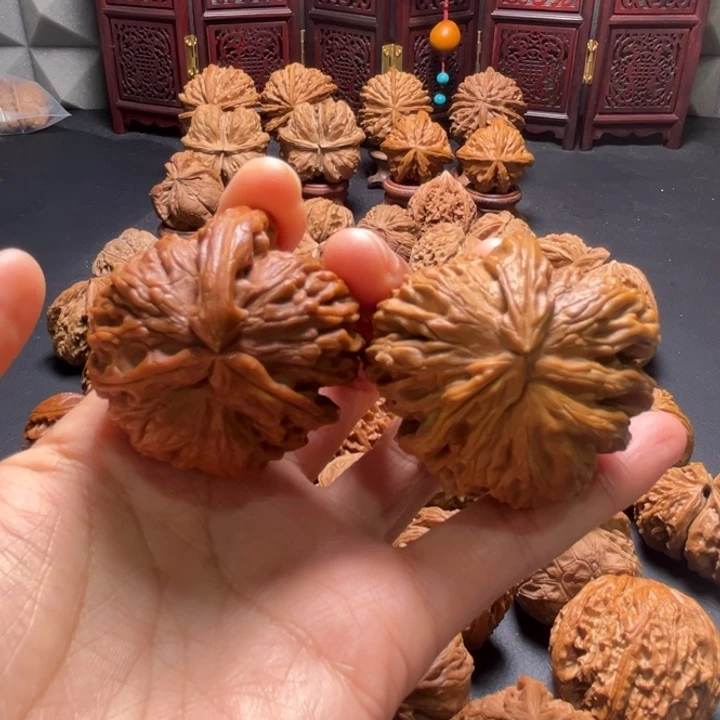 白狮子三棱挂角43尺寸核桃哈哈哈哈