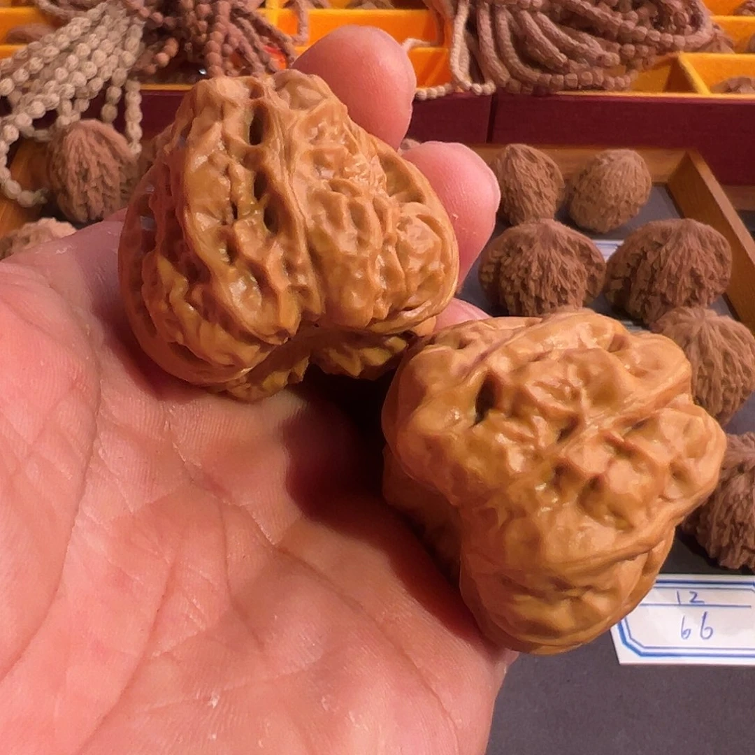 核桃13蛤膜头修尖