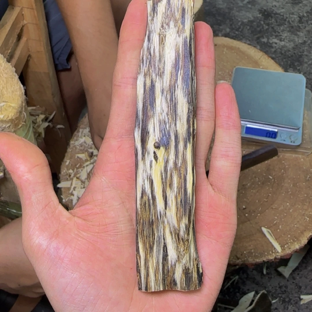 沉香乌身原料发一份