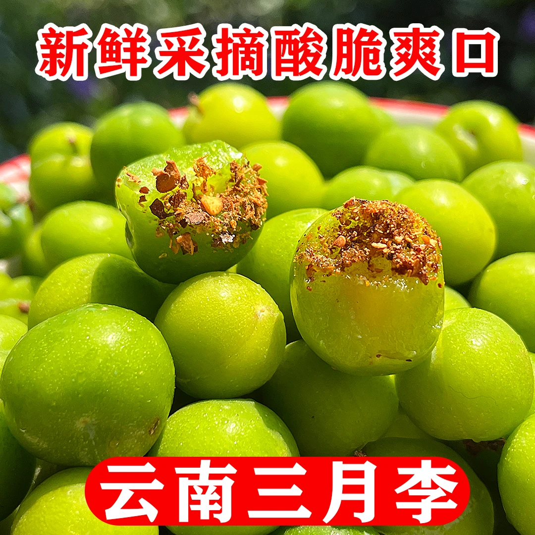 2025年云南元江李子新鲜三月李早熟酸脆水果青李孕妇当季珍珠李