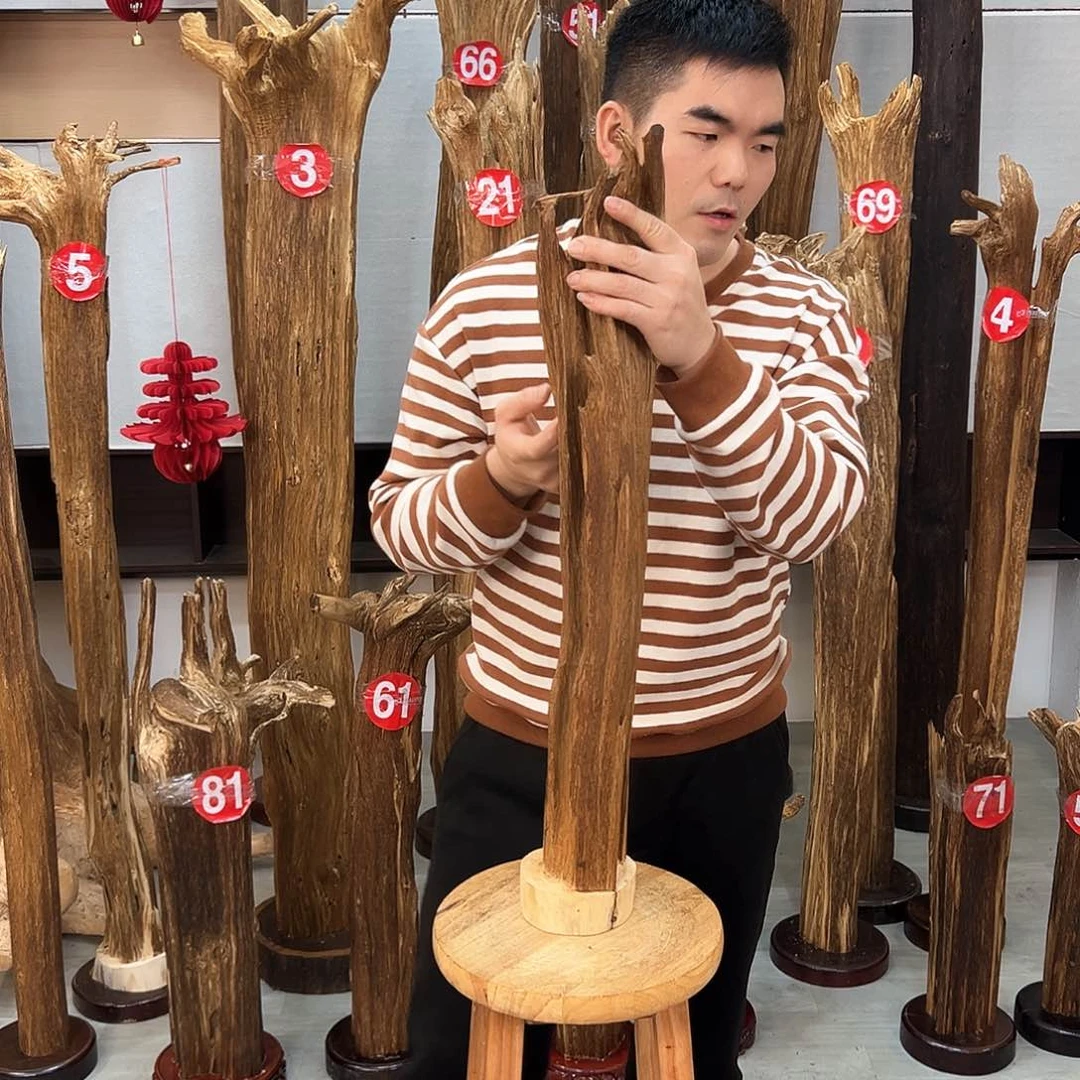 沉香摆件阳**媚海南沉香摆件