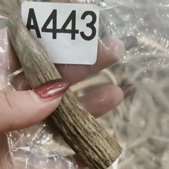 闲***事鹿角鹿角鹿角鹿角鹿角