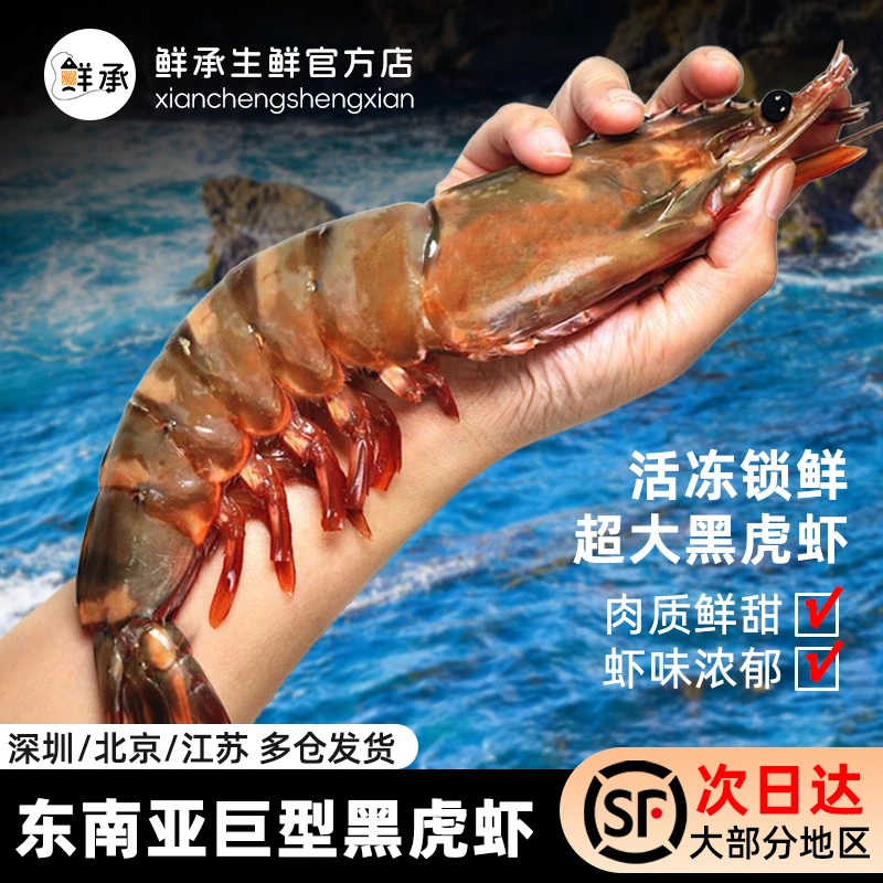 鲜承 东南亚巨型黑虎虾鲜冻海捕大虾特A级老虎虾多规格可选
