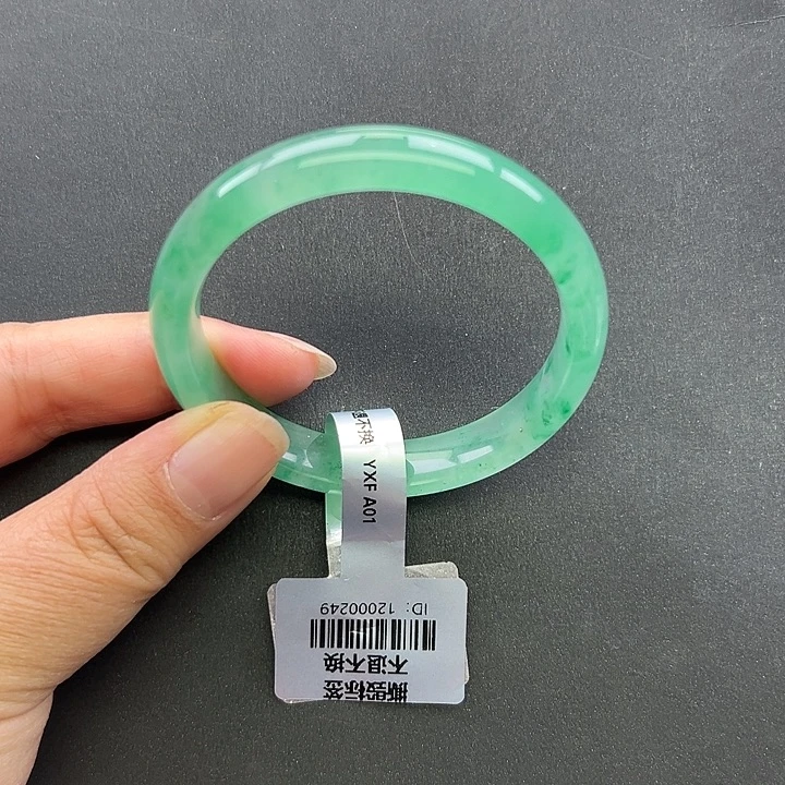 石英质玉（非洲翠）未镶嵌手镯+菩提51.9