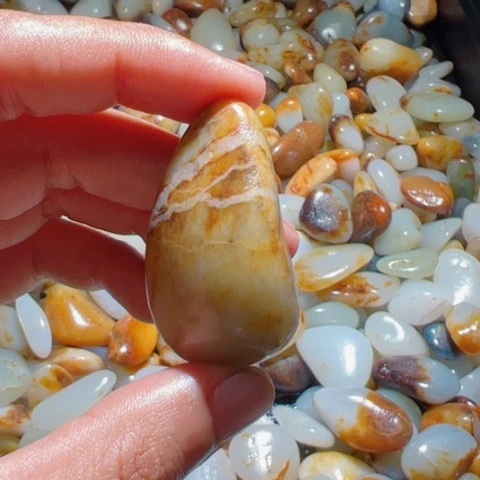 和田玉（糖玉）手链未镶嵌16