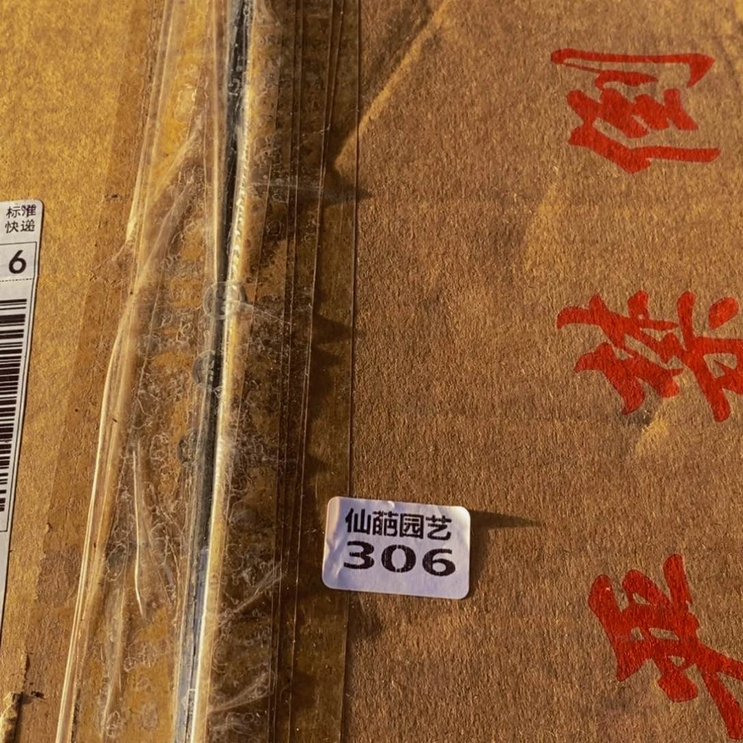 306分钟后洗完头发剪头发的