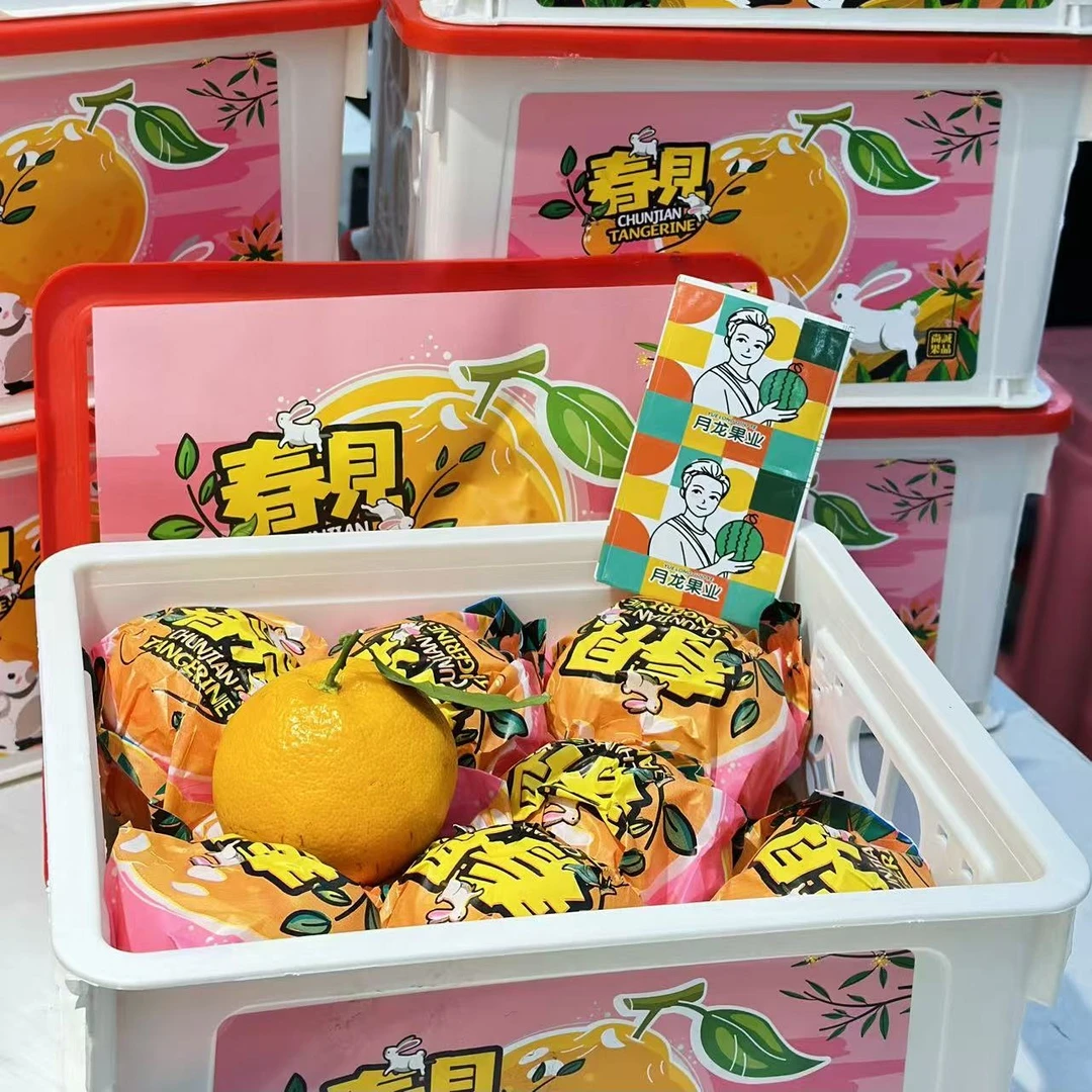 春见耙耙柑一箱四川省