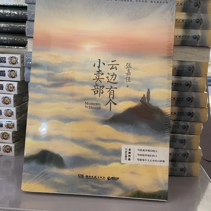 云边有个小卖部 平装带塑封