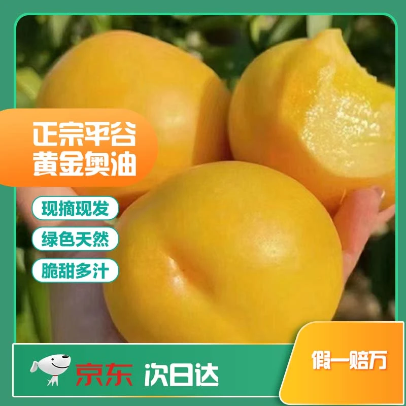 【平谷头茬黄金奥油黄桃】北京市 大华山村  现摘现发黄桃同城送北京市