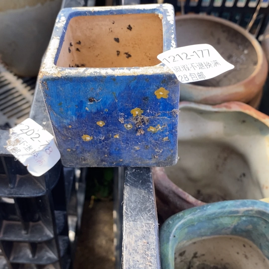 177号多肉盆口径5