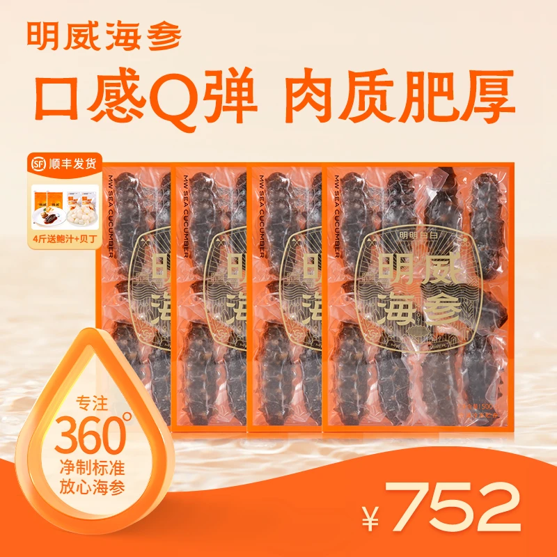 【海参】明威海参24头-80头2000g工厂直发刺参鲜活加工送礼送长辈