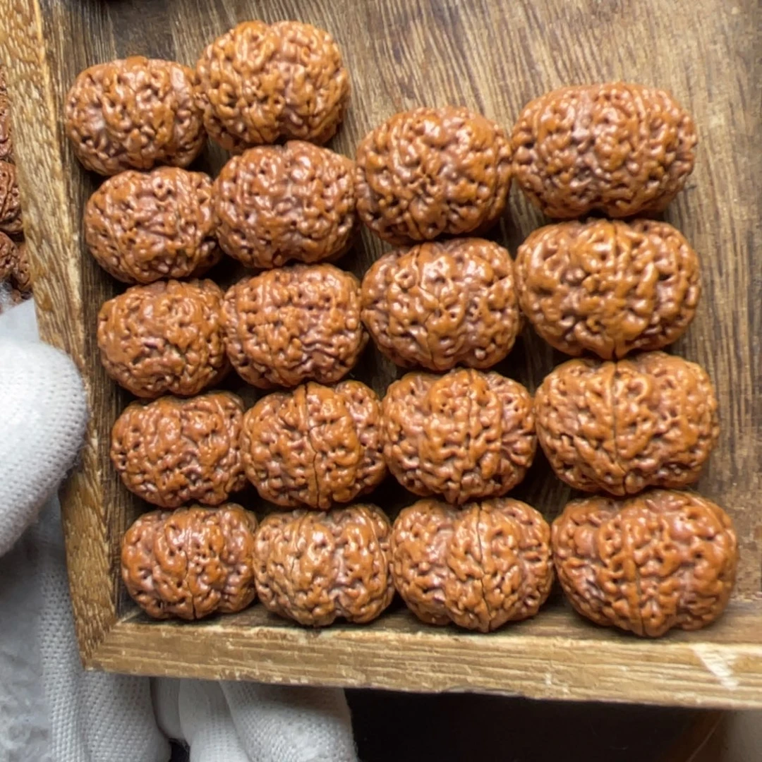 陈***士金刚菩提手串古龙纽扣蜂王超头手持23+