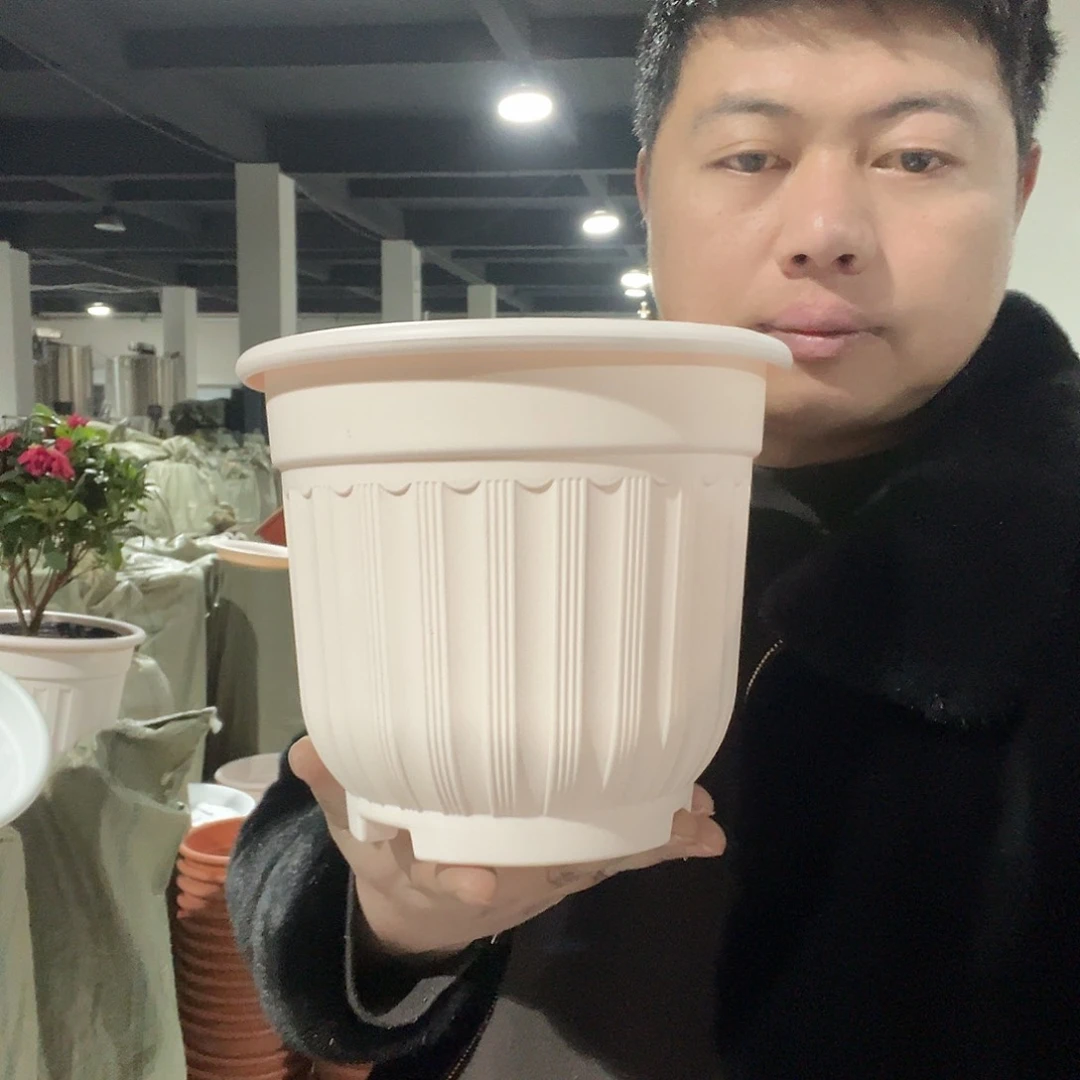 树脂罗马210粉4个带托