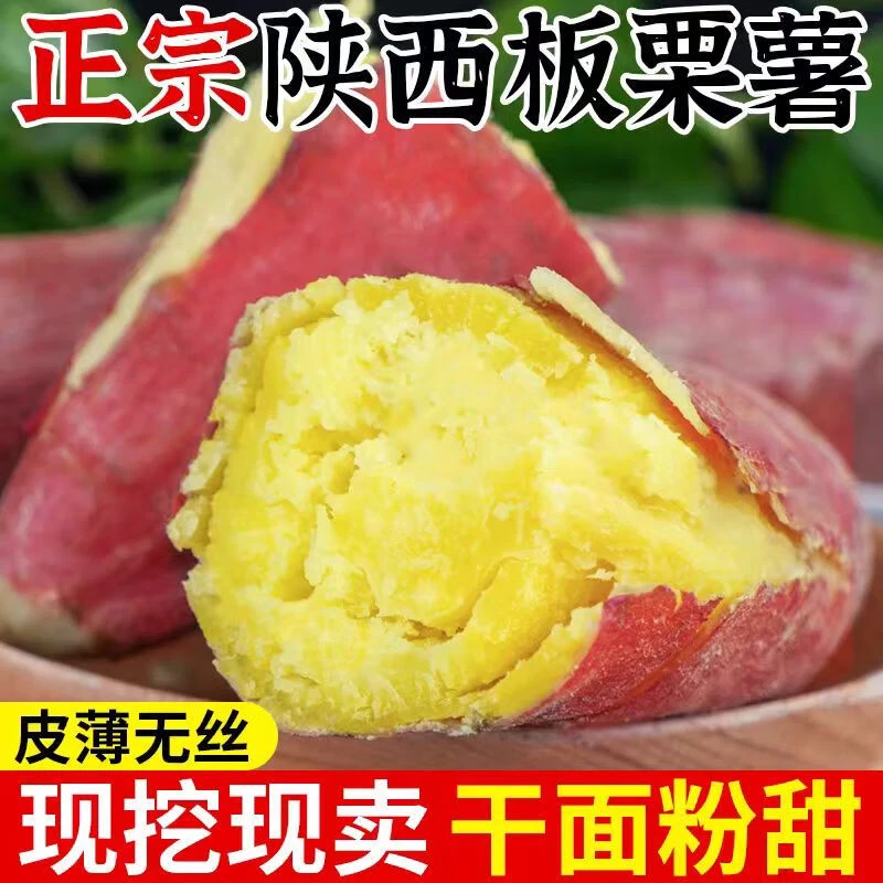 2025新鲜头茬陕西大荔沙地板栗红薯干面粉糯优质代餐粗粮宝宝辅食