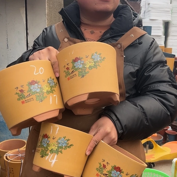 紫砂花盆紫砂花盆盆栽
