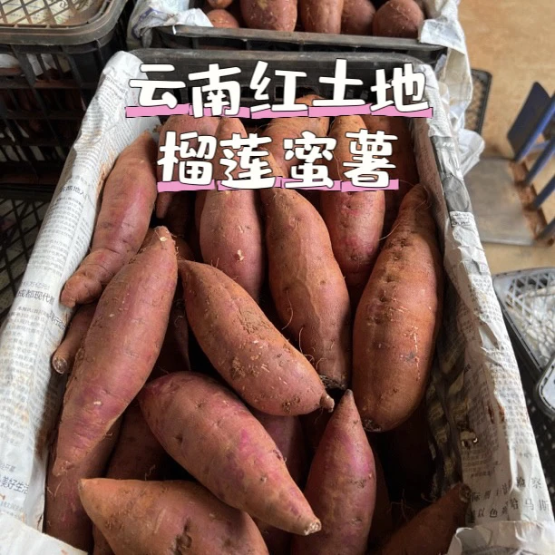 云南正宗红土地榴莲蜜薯软糯丝滑3-4.5斤健康红薯地瓜已水果蜜甜