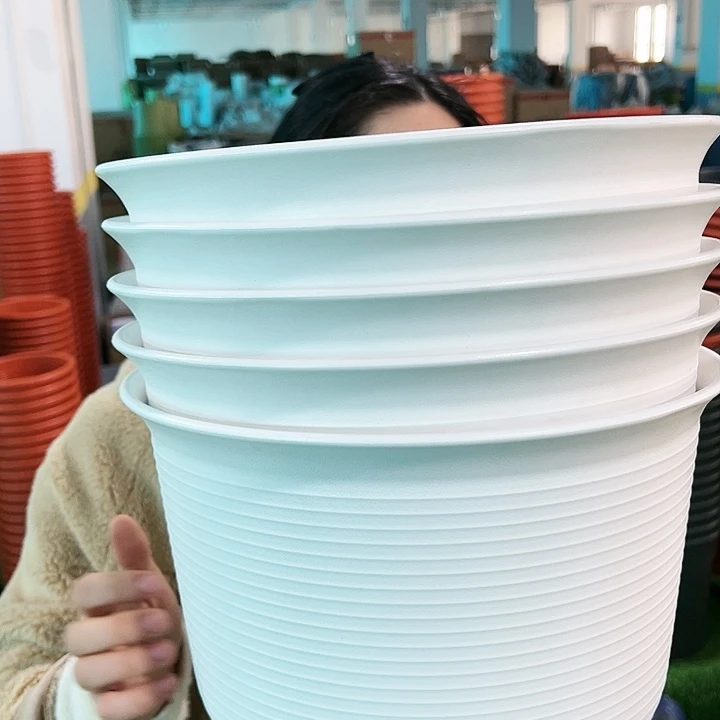 正品矮陶口30高21白色5个带托