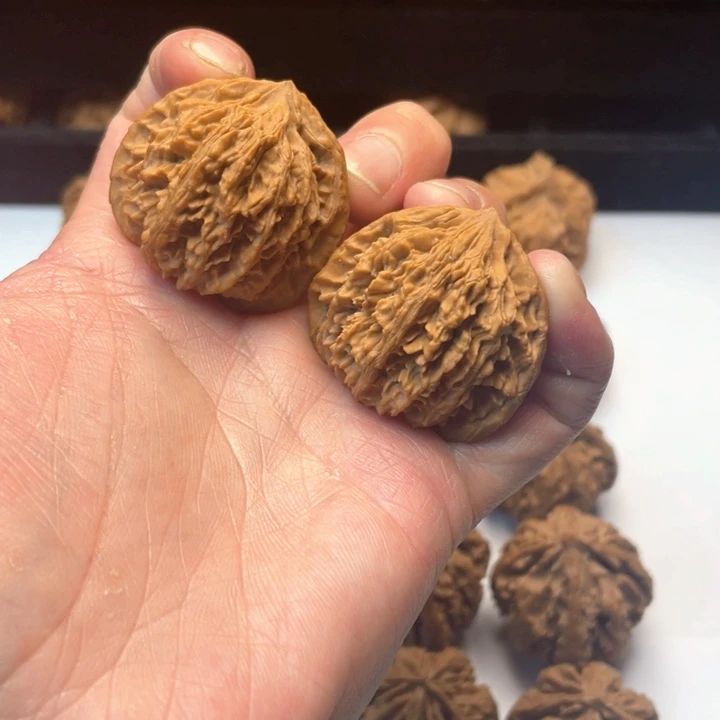 文玩核桃把件文玩城的小伙伴