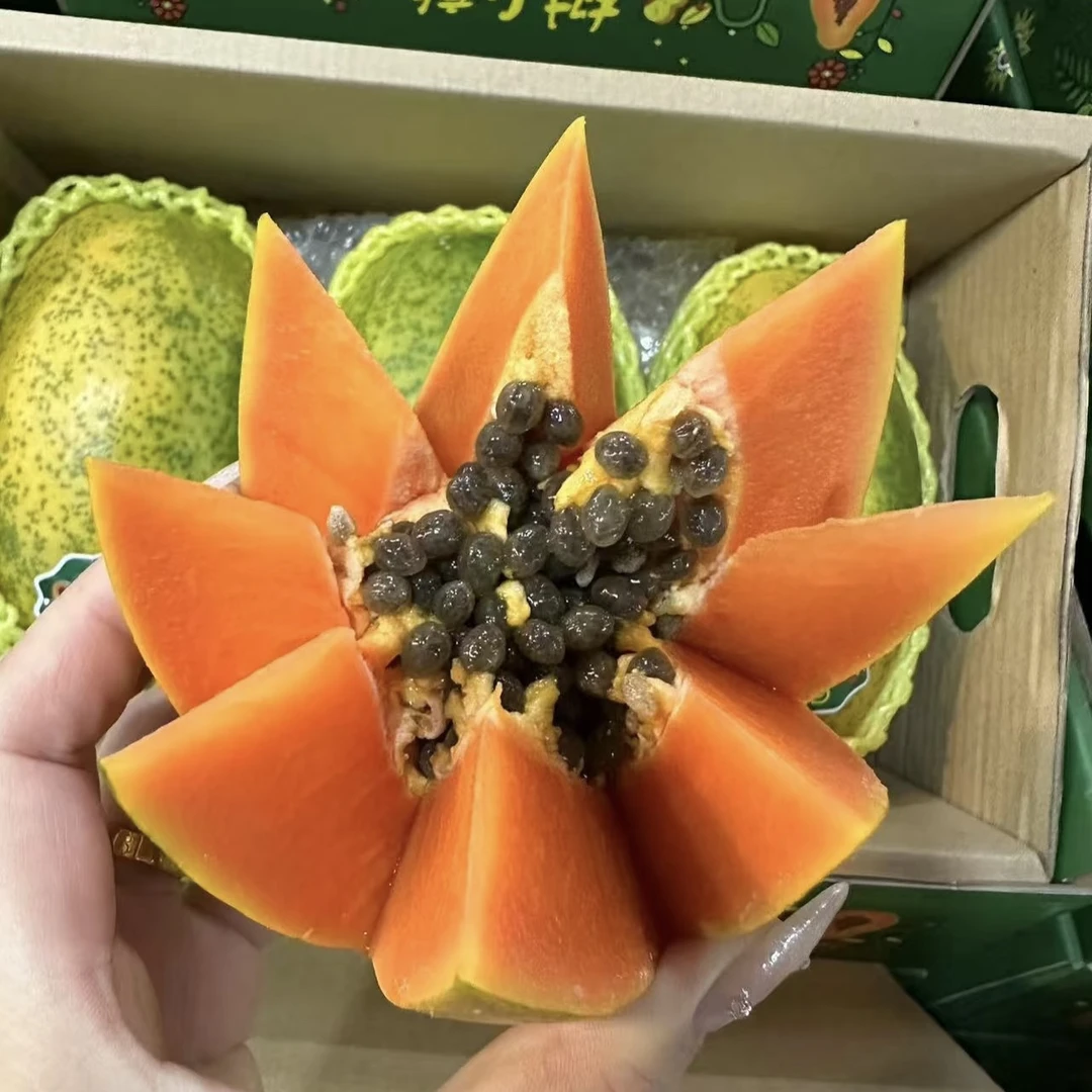 海南树熟【奶酪木瓜】冰糖心红心木瓜奶香甜蜜海南省