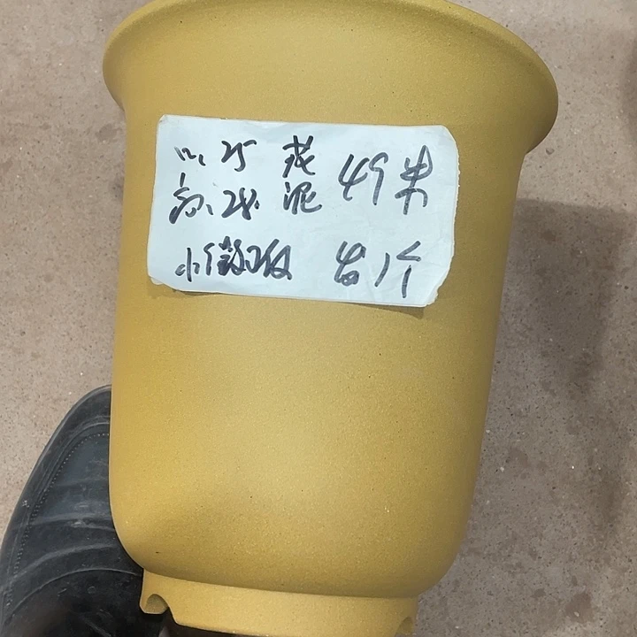 宜兴丁山张伟花盆