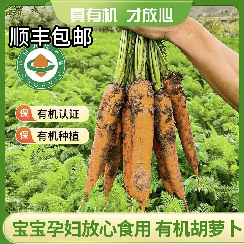 【顺丰包邮】内蒙古后窑子有机胡萝卜带泥5斤装