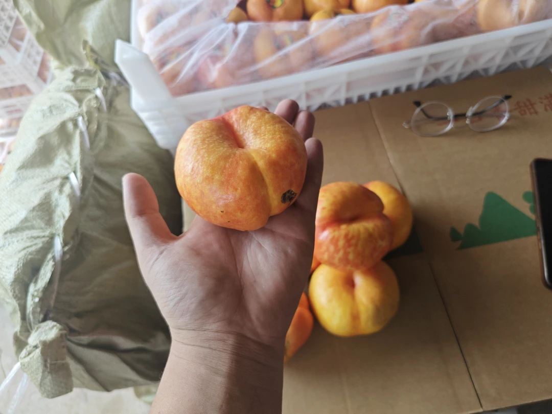山东蒙阴彩虹油蟠桃新鲜应季水果皮薄甜嫩多汁（瑕疵果介意勿拍）