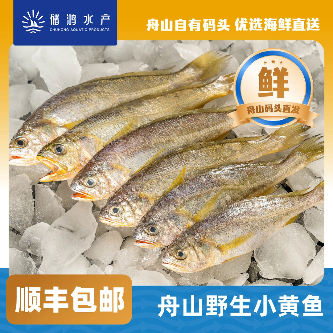 【储鸿】舟山东海小黄鱼 鲜活速冻11-12条/斤 顺丰包邮