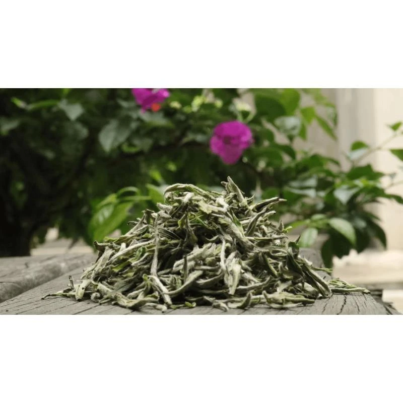 檀里村专属福鼎白茶2024大洋山银针