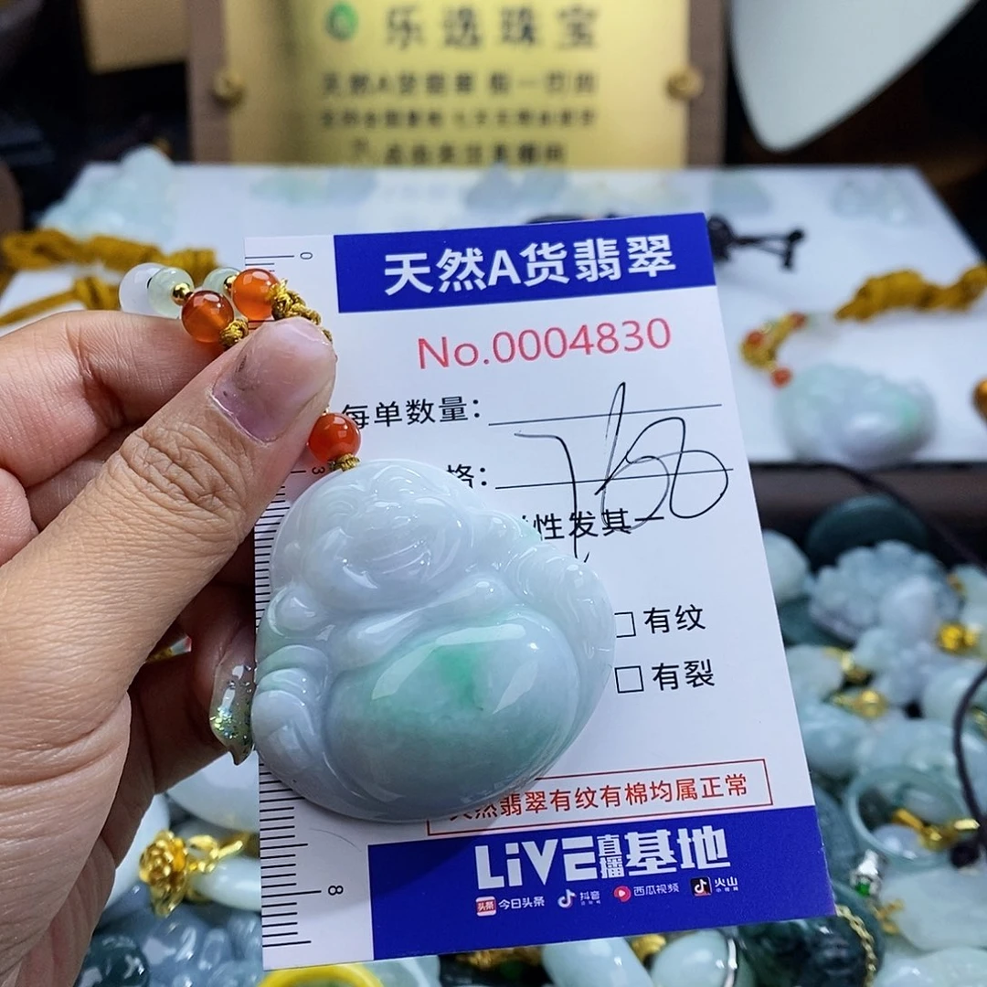 翡翠未镶嵌颈饰4830