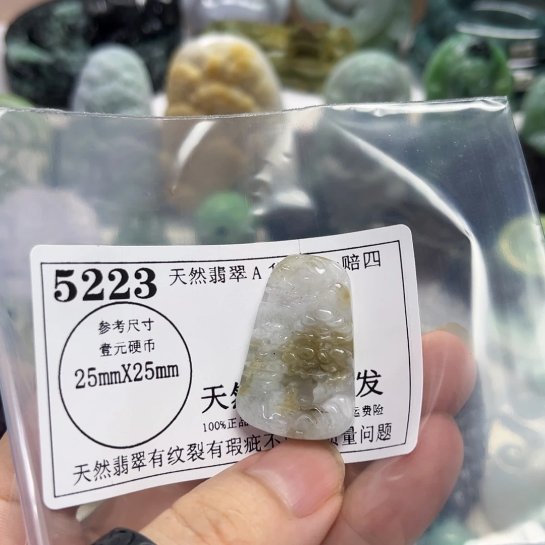 翡翠未镶嵌颈饰5223