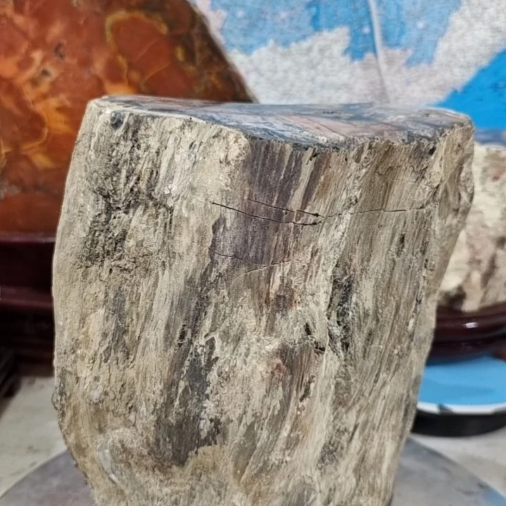小***古石材新疆奇台硅化木 木化石，树化石，树化玉。
