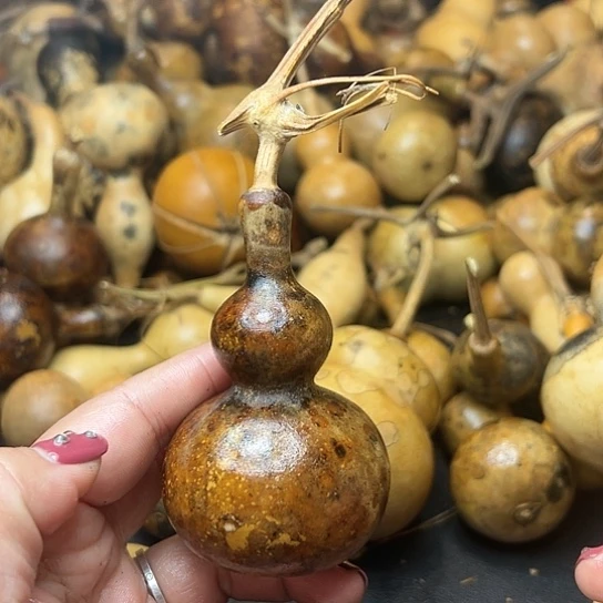 ꧁**꧂葫芦葫芦hu lu hu lu