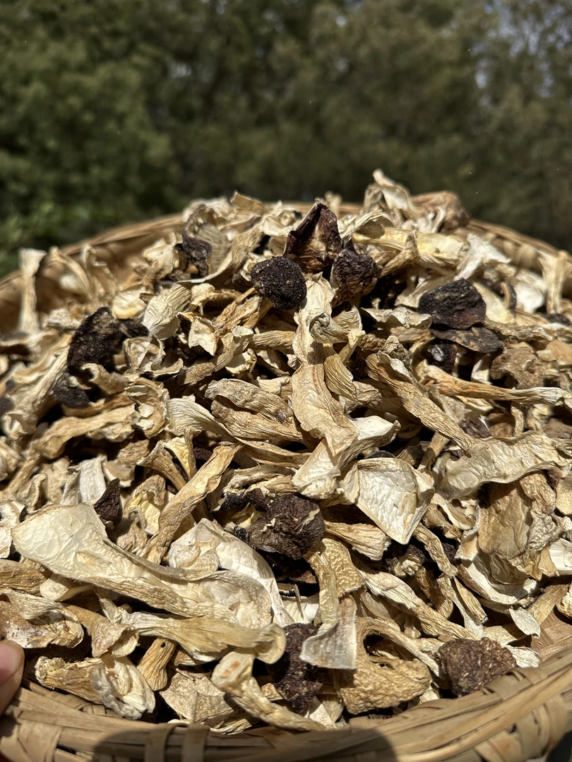 云南土特产 现收山货 带皮雪山松茸 赤松茸干货煲汤营养美味