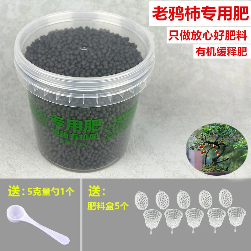 老鸦柿专用肥盆景生物菌肥颗粒肥有机肥复合肥缓释肥孢菌通用花肥