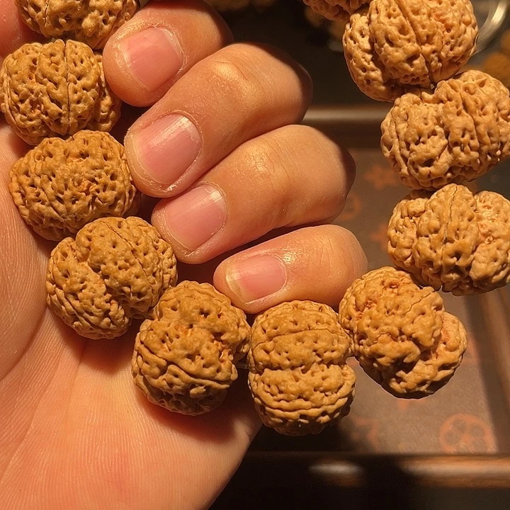 郭****手串金刚菩提梅花
