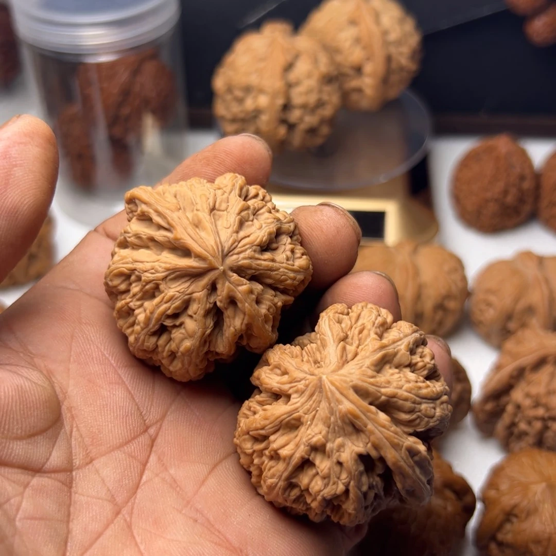 把件桃核刺*大粗筋狮头头