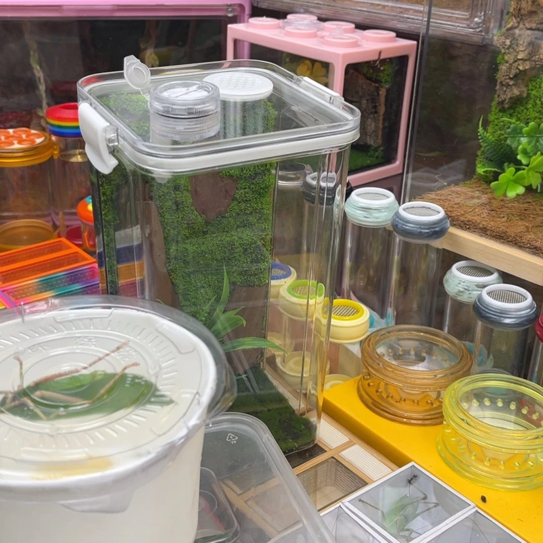 特价素贝哈哈哈哈哈