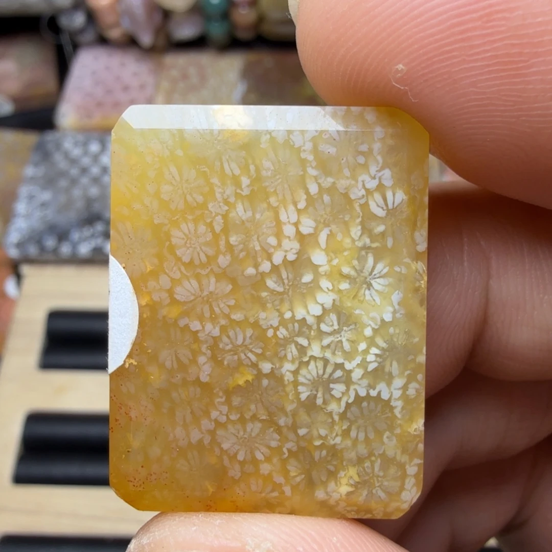 硅化玉未镶嵌纯天然色有机玉石保真色