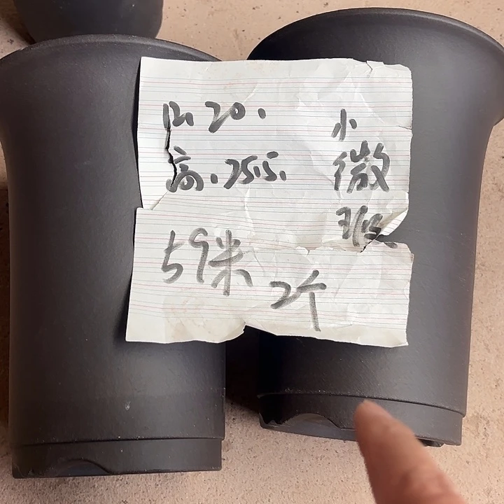 宜兴丁山张伟花盆