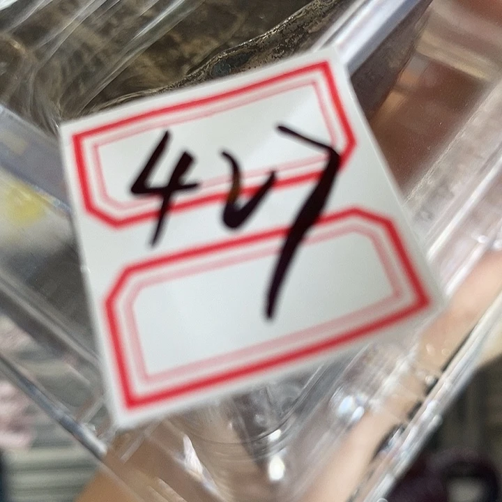 大叶紫檀（黑酸枝木类）427