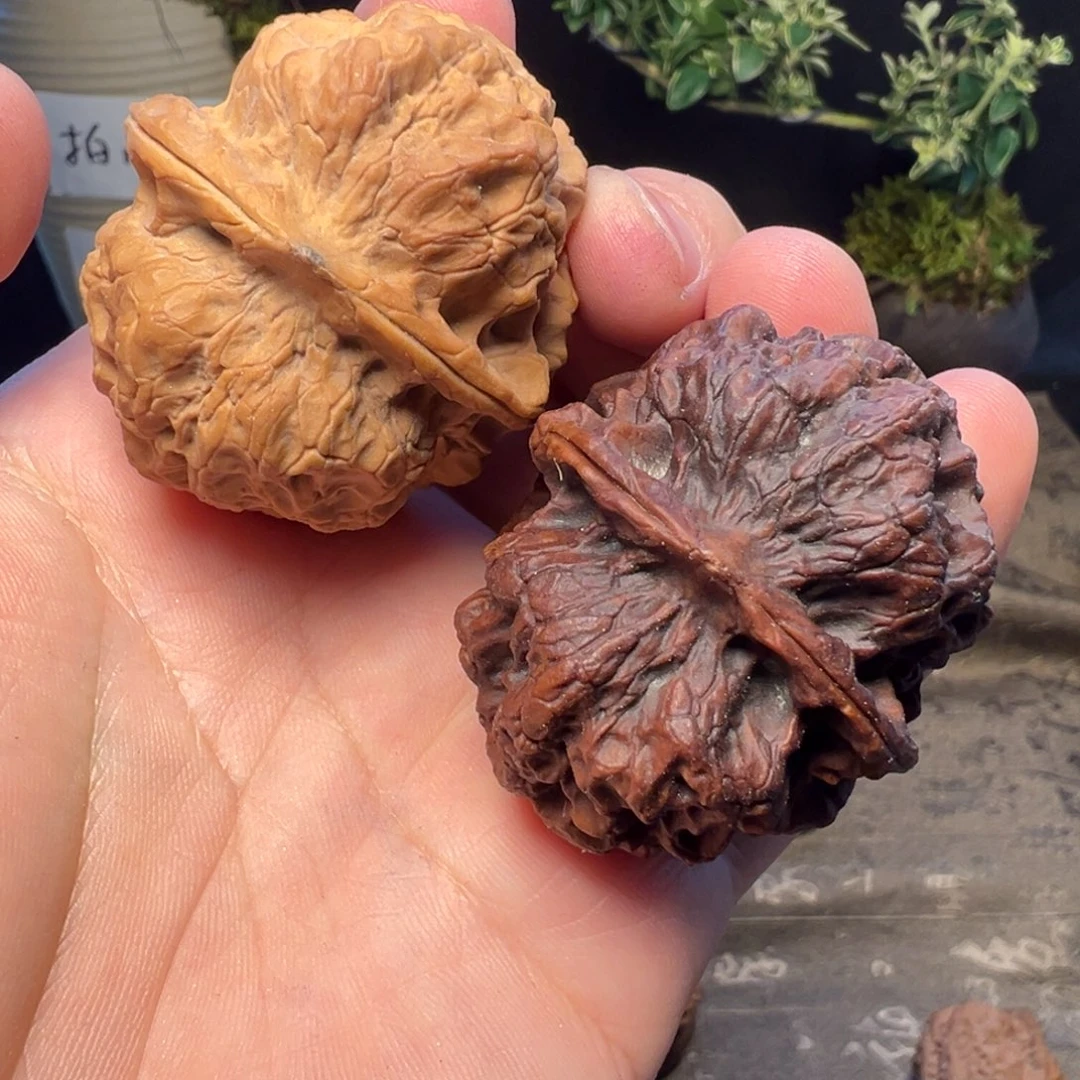 文玩核桃吊坠七彩皇冠45mm