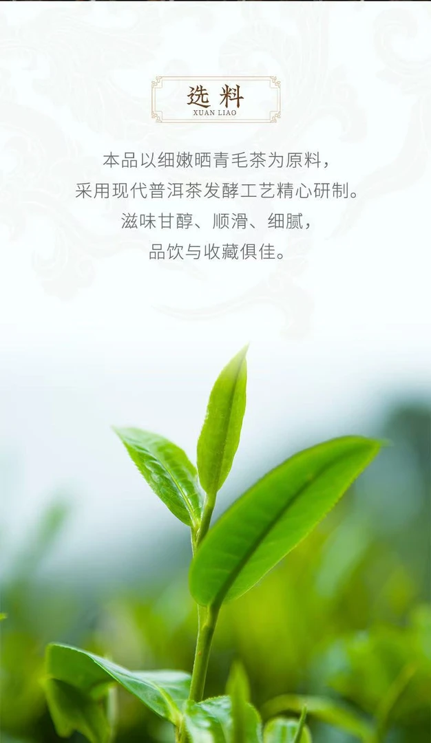 熟茶 2005年200克一饼  品牌普洱直播福利专属