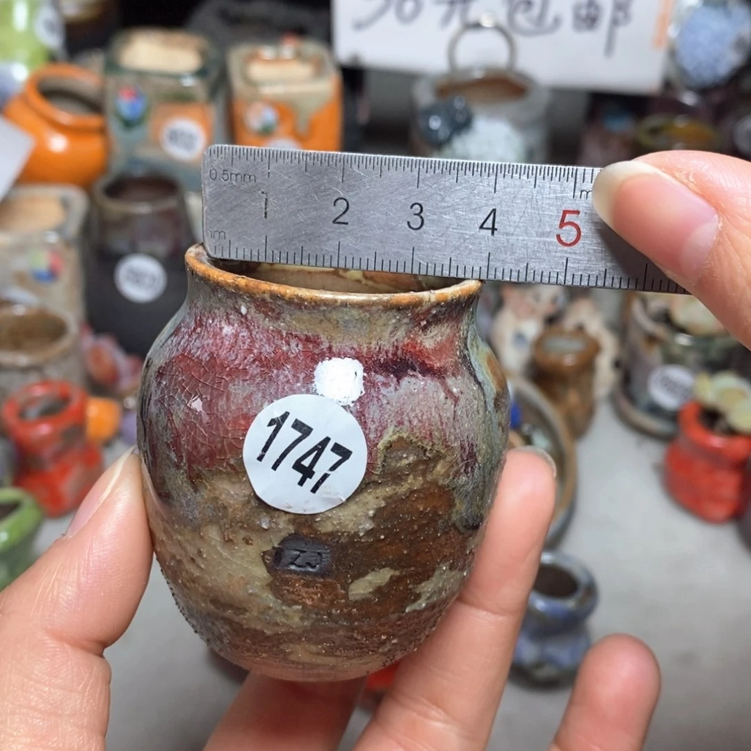 拍5送一个小礼物花盆