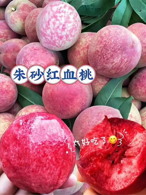 赵龙家马谷田镇麻姑石土朱砂红