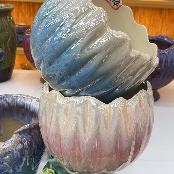 多肉植物陶瓷花盆