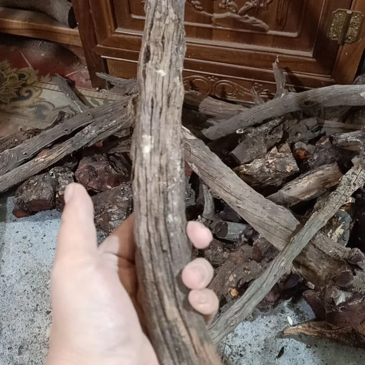 ～***佬柏木火琉璃棍子火琉璃